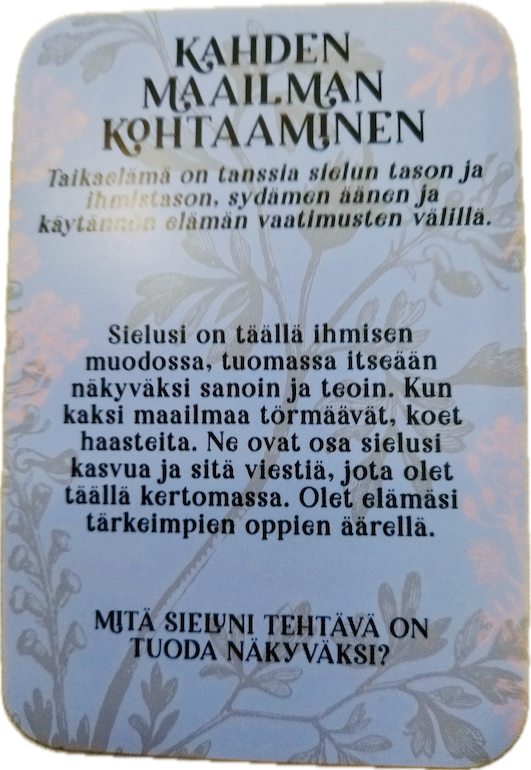 kahden maailman kohtaaminen